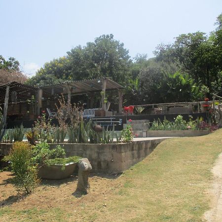 فيلا Leopard Tree Retreat نيلسبروت المظهر الخارجي الصورة