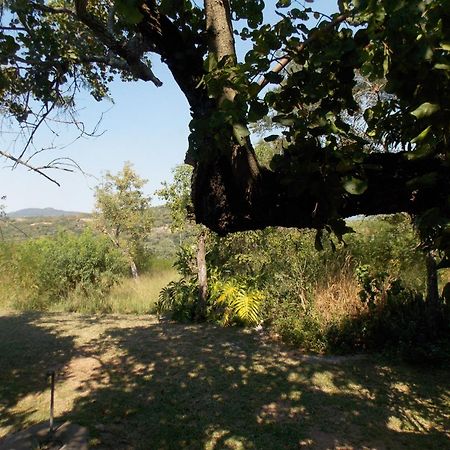 فيلا Leopard Tree Retreat نيلسبروت المظهر الخارجي الصورة