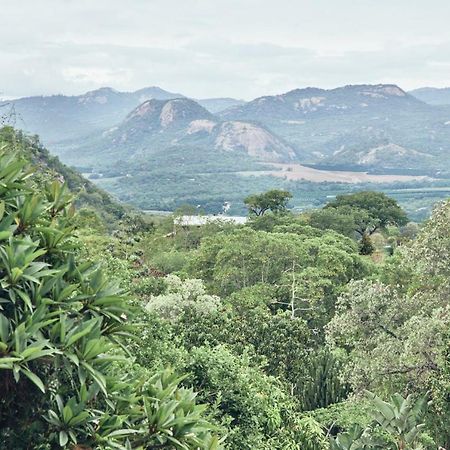 فيلا Leopard Tree Retreat نيلسبروت المظهر الخارجي الصورة