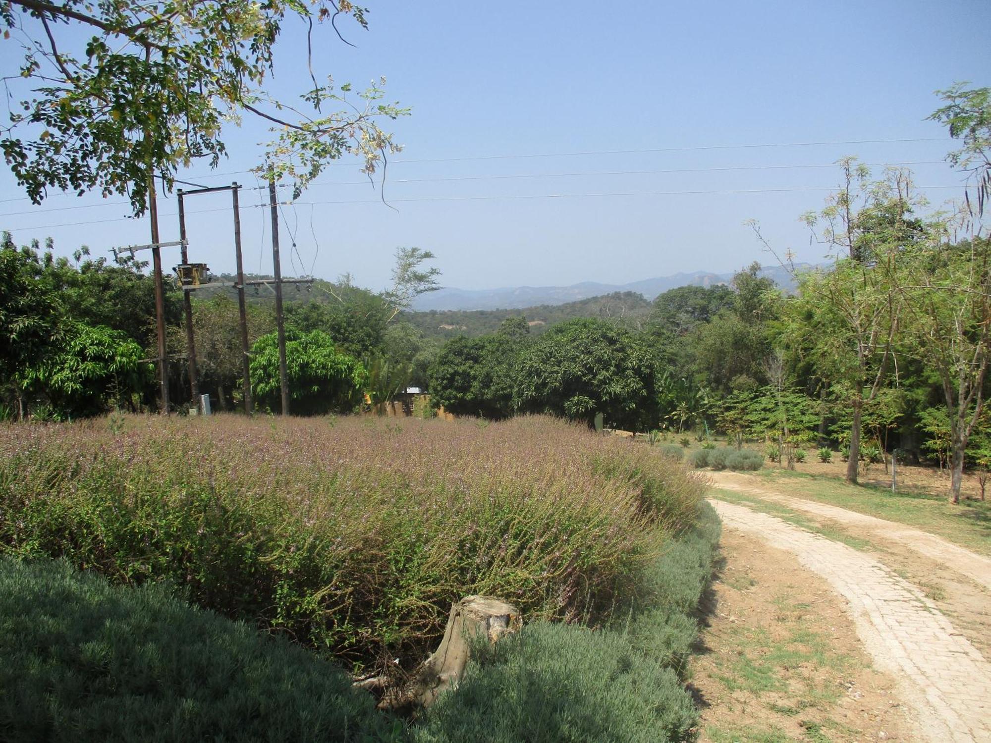 فيلا Leopard Tree Retreat نيلسبروت المظهر الخارجي الصورة