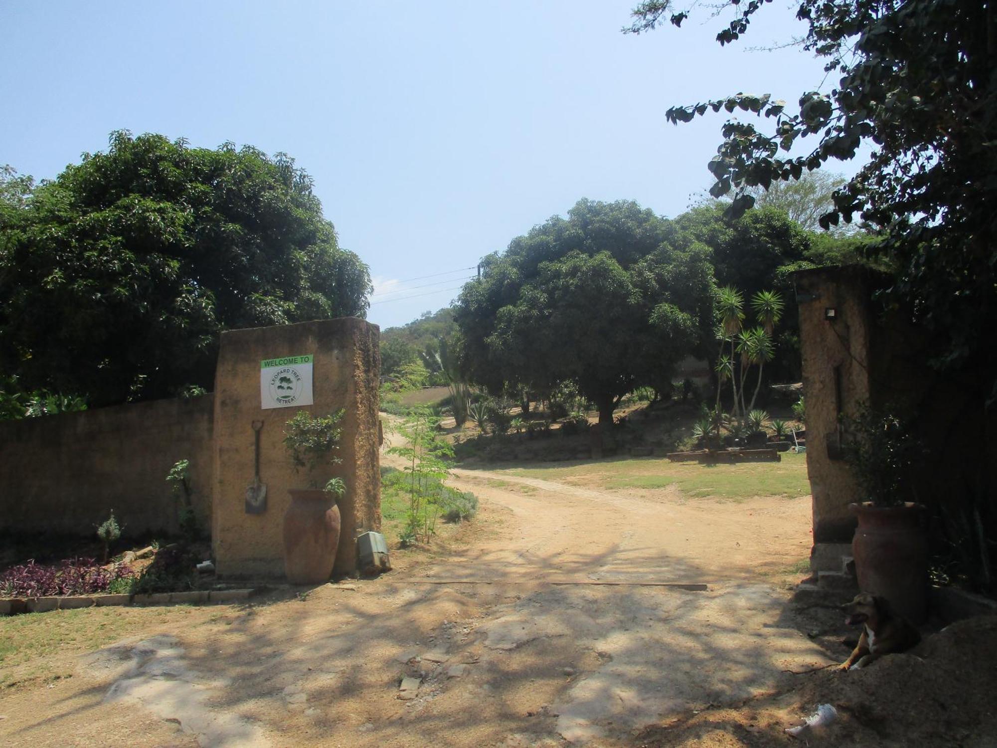فيلا Leopard Tree Retreat نيلسبروت المظهر الخارجي الصورة