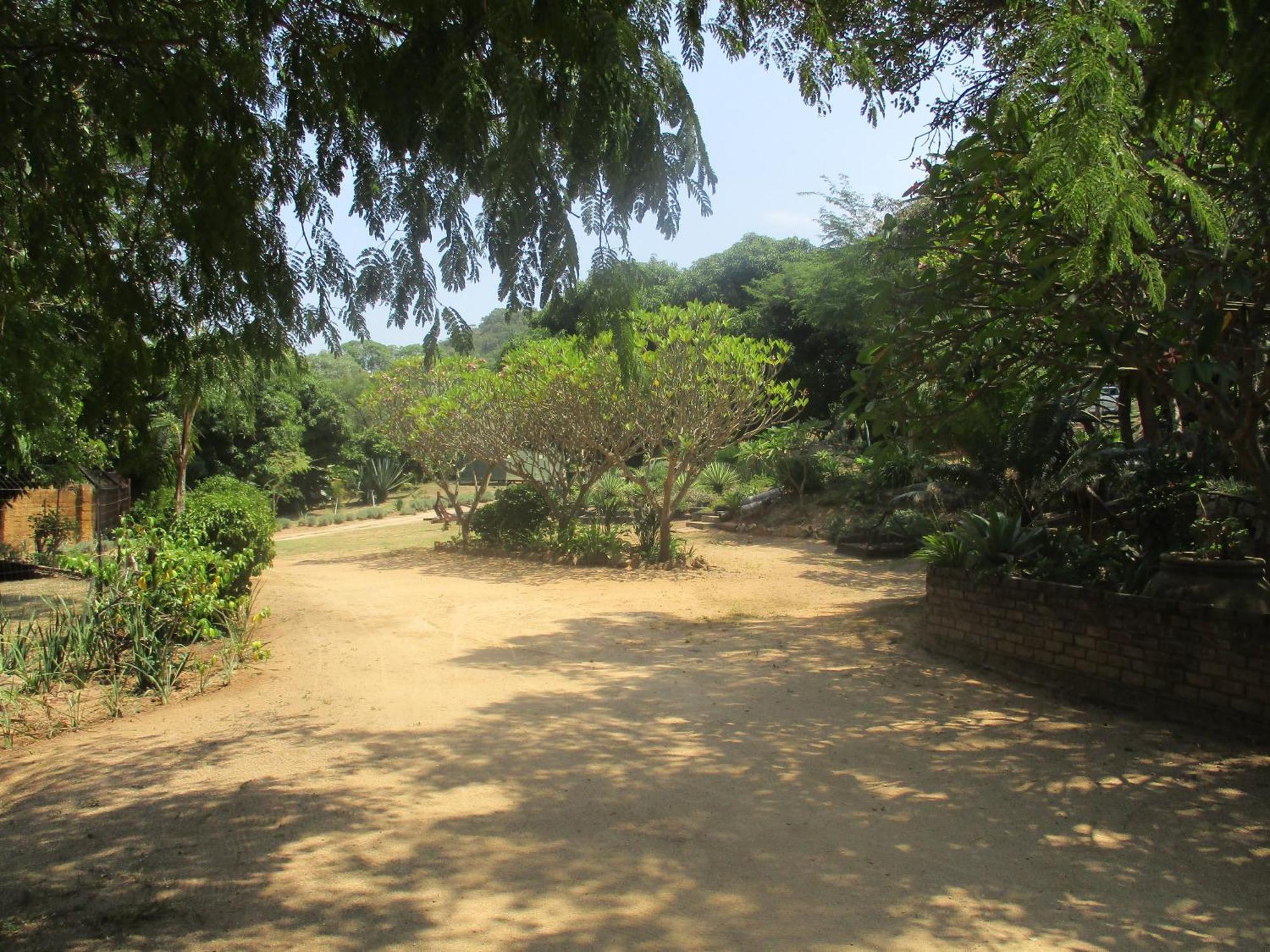 فيلا Leopard Tree Retreat نيلسبروت المظهر الخارجي الصورة