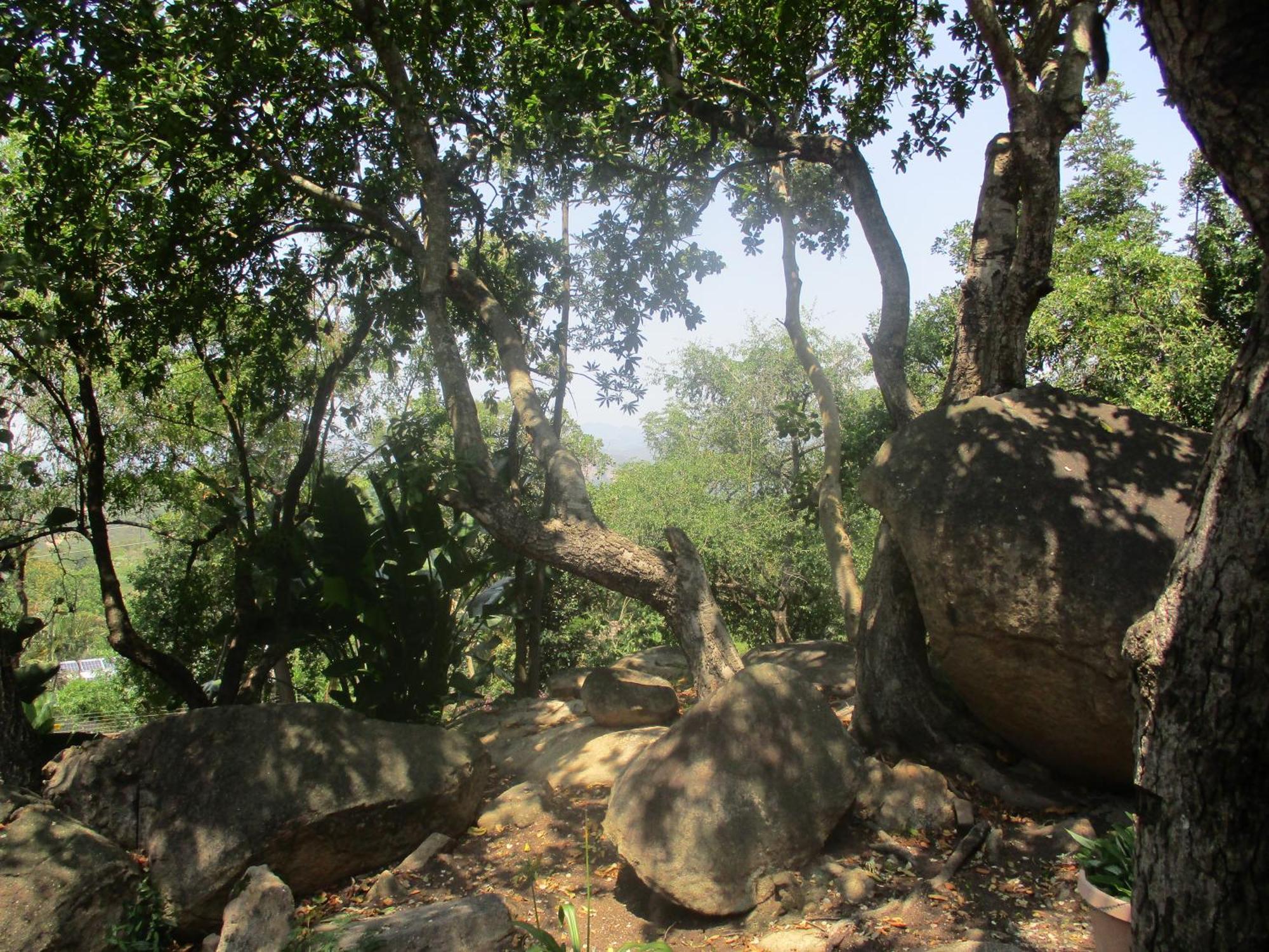 فيلا Leopard Tree Retreat نيلسبروت المظهر الخارجي الصورة