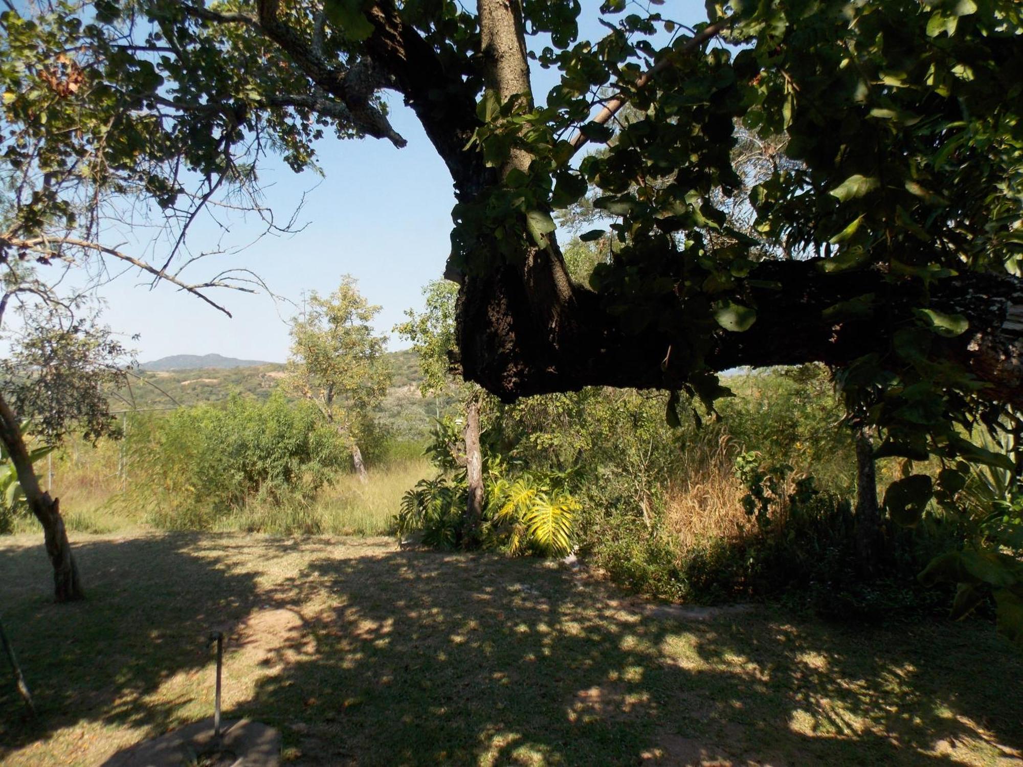 فيلا Leopard Tree Retreat نيلسبروت المظهر الخارجي الصورة