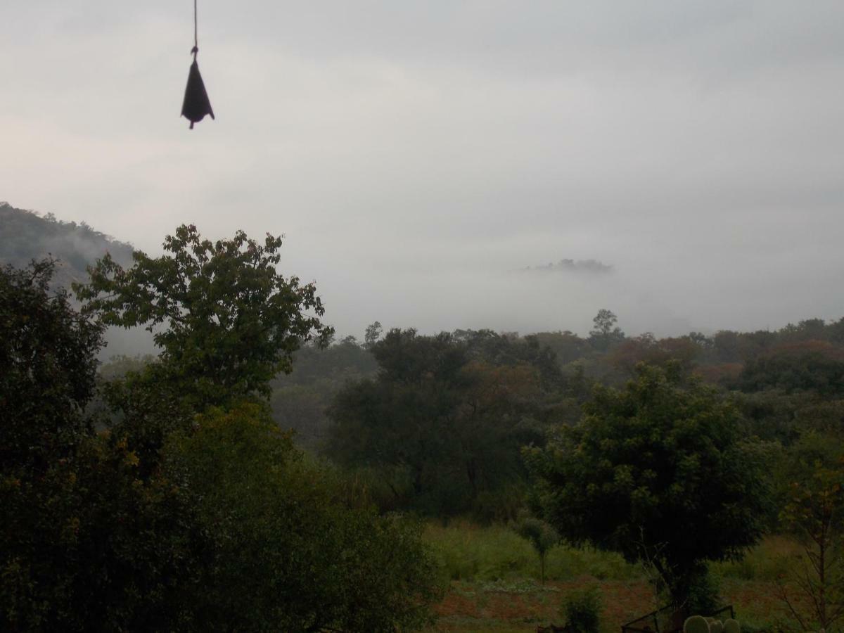 فيلا Leopard Tree Retreat نيلسبروت المظهر الخارجي الصورة