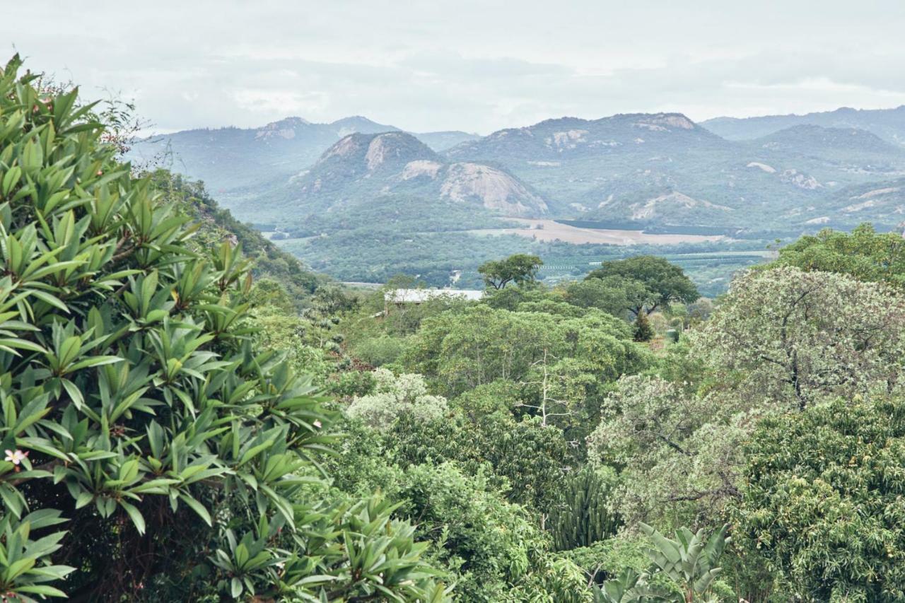 فيلا Leopard Tree Retreat نيلسبروت المظهر الخارجي الصورة