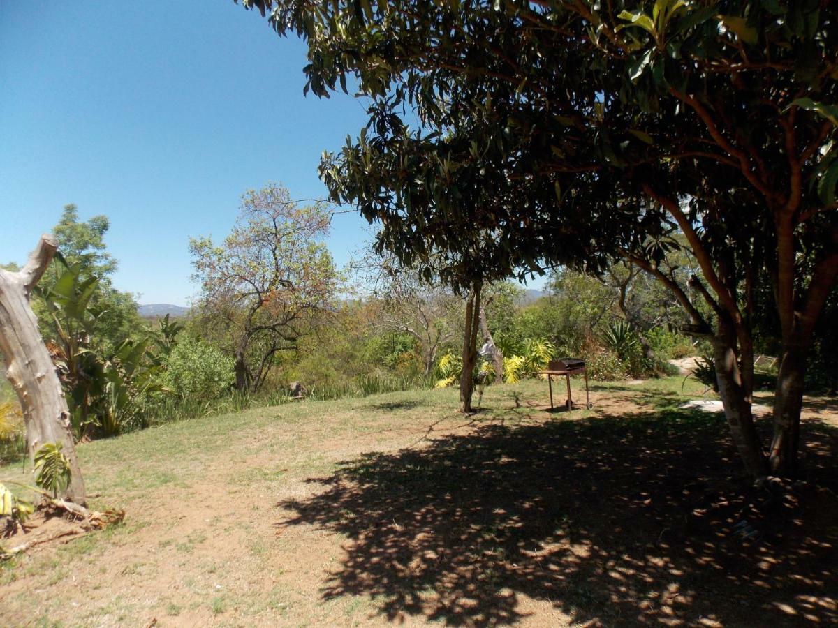 فيلا Leopard Tree Retreat نيلسبروت المظهر الخارجي الصورة